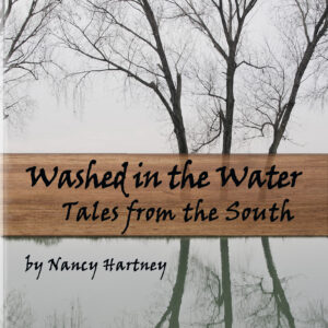 Washed in the Water: Tales from the South